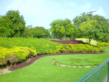 park outer view - flowers, lahore, nature, park outer view