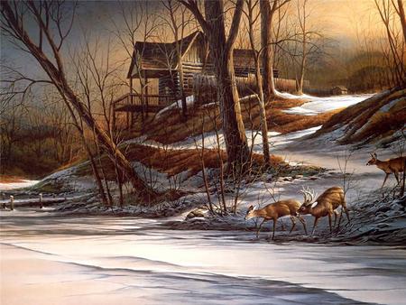 A Cool Drink - frozen, cabin, deer, lake, woods