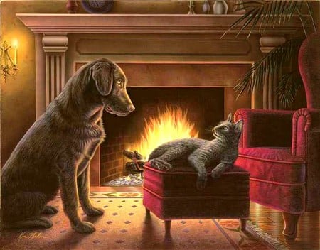 My Best Friend - warm, fireplace, stool, dog, friends, cat