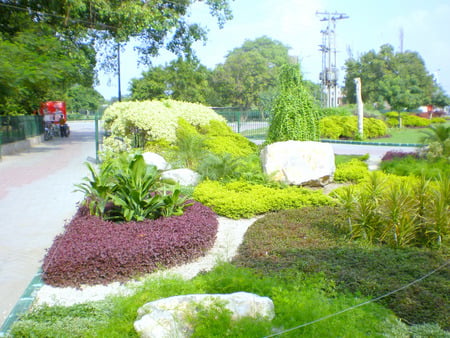 Park - flowers, lahore, nature, park