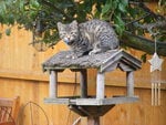 Cat on bird table!