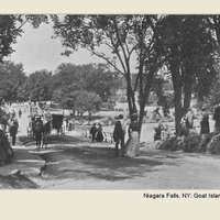Niagara Falls, NY: Goat Island Hill (1901)