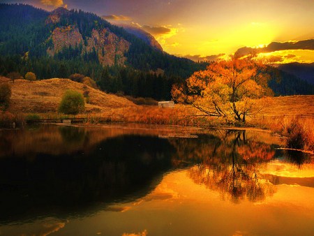 Autumn gold - reflections, lake, yellow sky, shoreline, gold, orange, tree, trees, autumn