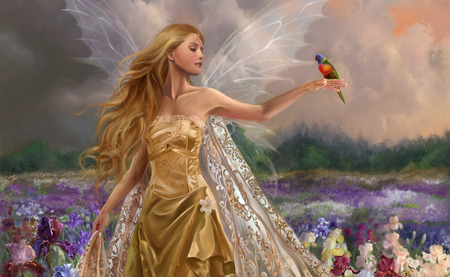 Fairy - wings, parakeet, field, flowers