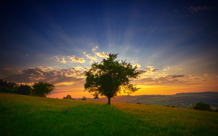 The Time of Silence - rays, nature, rolling, hills, sunlight, field, tree, sunset