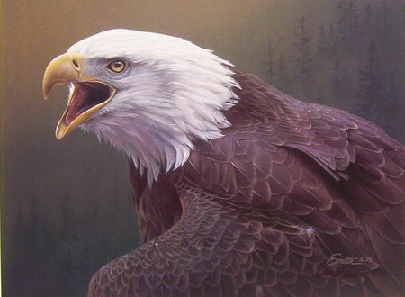 Flight Of The Eagle - free, powerful, beautiful, flight, majestic