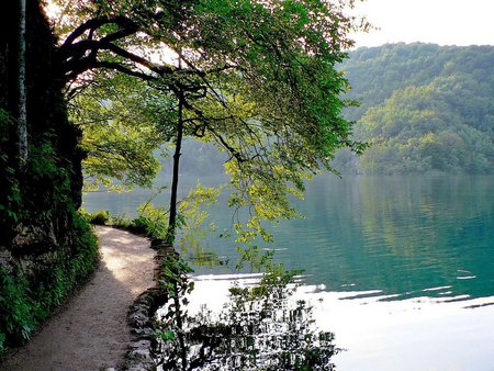 Cool landscape - water, lake, tree, mountain