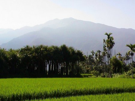 My earth - nature, landscape, mountain, tree, grass