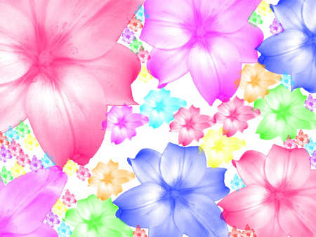 Pretty Flowers - pretty, petals, bunch, colors, flowers