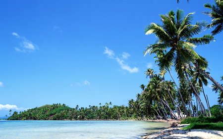 Tahiti island - coast, shoreline, beach, island, sand, tahiti, pallms, holiday, tropical