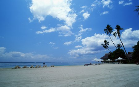 White sandy beach - beach, ocean, sandy, island, holiday, tahiti