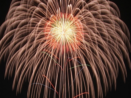 Flower fireworks - celebration, sky, holiday, night, fireworks