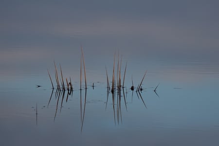 Evening - water, lake, beauti, grass