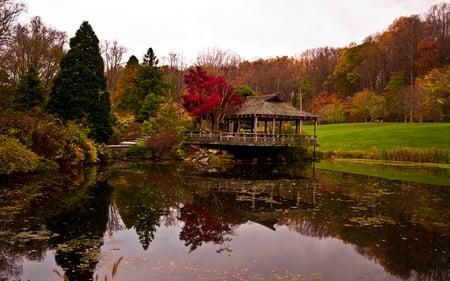 Autumn - trees, beautiful, landscape, grass, colors, reflection, tree, colorful, stairs, nature, autumn, view, green, gazebo, lake