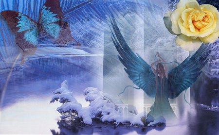 Winter's angel - butterfly, lake, angel, blue, winter, rose