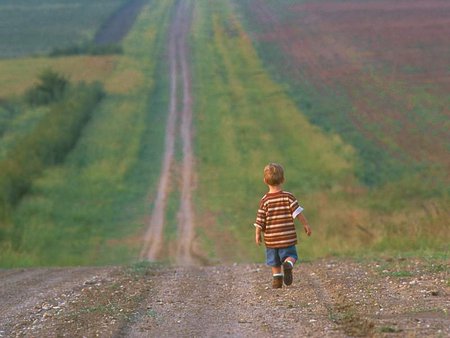 Little Country Boy - fields, trail, boy, walking, country