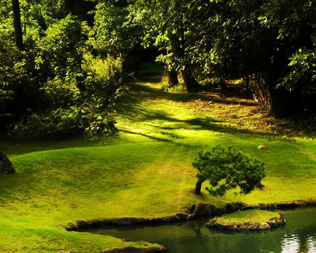 Green Garden - garden, forest, park, green, grass