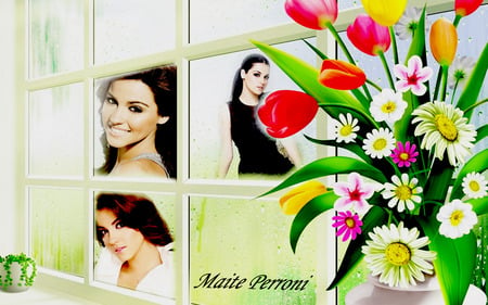 Maite - flowers, windows, beautiful, maite