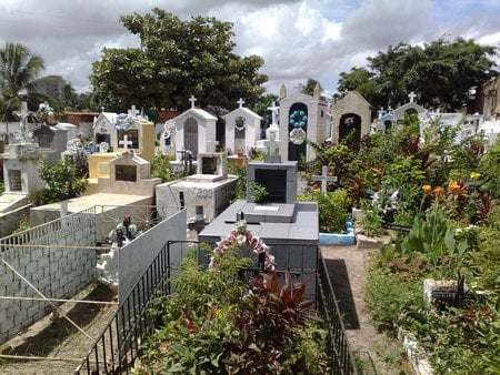 Cemetery - brasil, cemetery, peace, sun