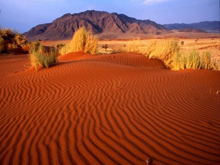 Red desert - desert, dune, nature, landscape