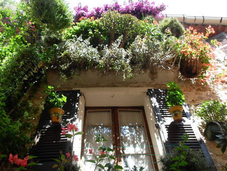 View from below - flowers, window, spanish house, pavement view