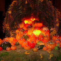 PUMPKIN DISPLAY