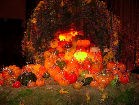 PUMPKIN DISPLAY - fall, display, pumpkins, orange, autunm