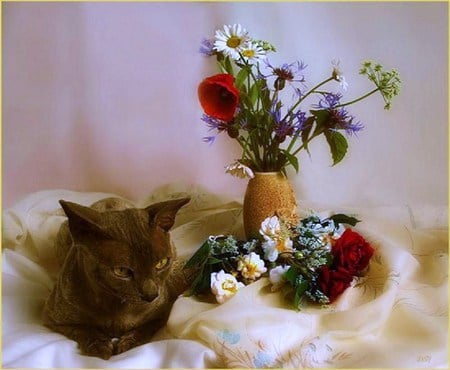 Cat's rest - still life - white, red, purple, brown, flowers, cat, vases