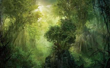 green  forrest - green, forrest, trees, plants