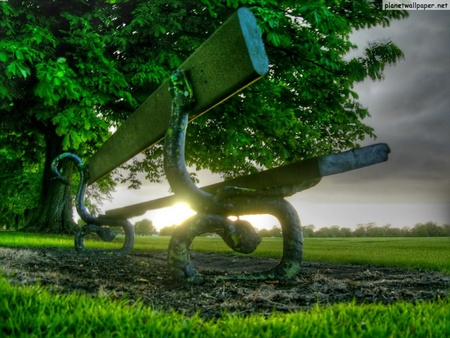 A Moment - field, tree, sun, chair