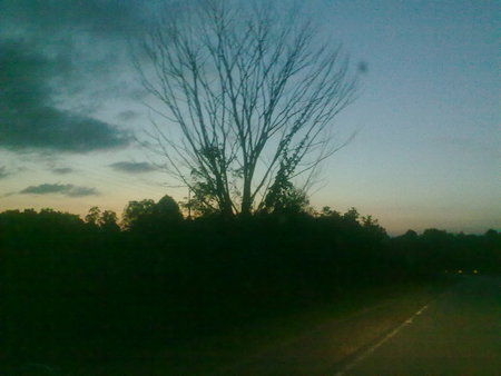 On my way to school one evening - highway, sunset, evening, standout