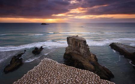 Sunset Magic - ocean, costal, sunset, rocks