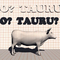 Bo? Tauru?