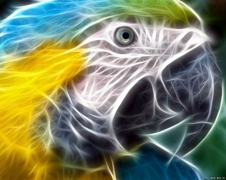 Layer Eagle - electrified, parrot, electric