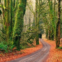 Road