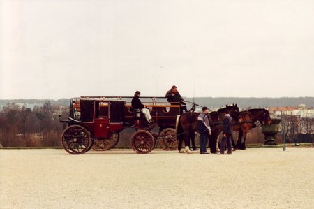 Horse Drawn Carraige - horses, buggy, horse, france, carraige