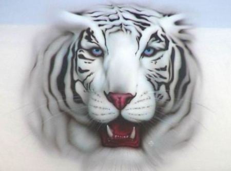 white tiger - tiger, animals, cat