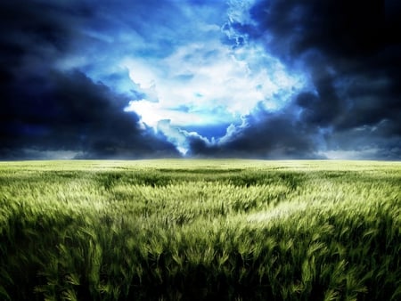 the power of nature - nature, fields, sky, land, grass