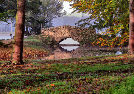 Bridge - lamdscape, forests, trees, bridges