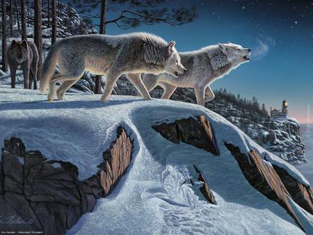 Night song - night, wolfs, rock, snow