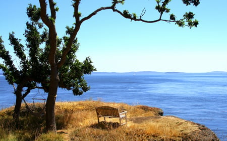 Seaside Relaxation - nature, ocean, view, trees, cliff, hammock, bench, sailboat