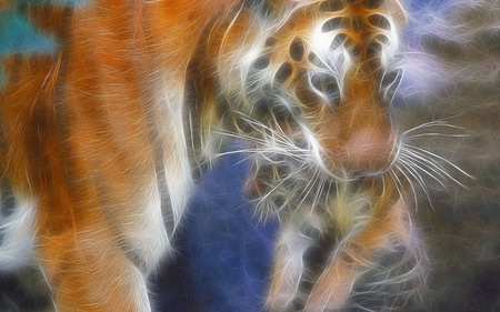 Tiger - animal, tiger, wild, wallpaper