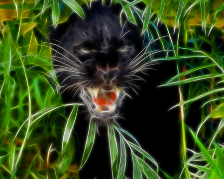 Panter - panter, wild, animal, wallpaper