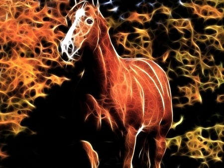 Flame Horse - flames, horse, wild, animal, wallpaper