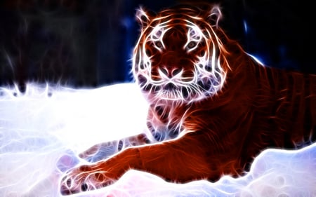 Nice tiger - animal, wallpaper, tiger, wild