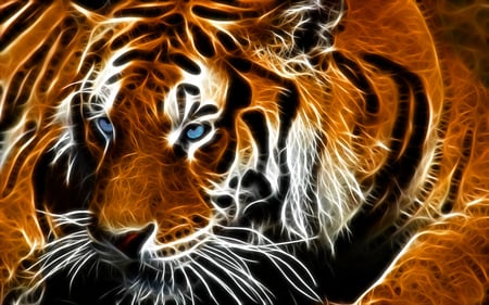 Huge tiger - animal, wallpaper, tiger, wild