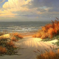 beach and dunes