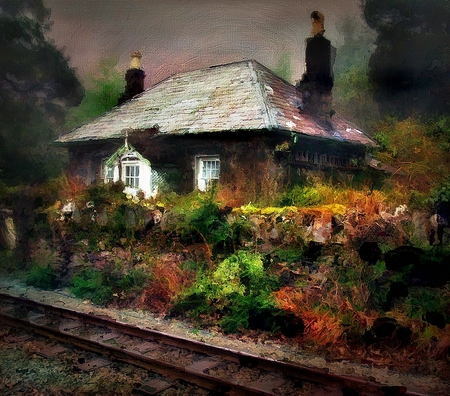 Charming Little House - tracks, trees, gardens, cottage, forgotten