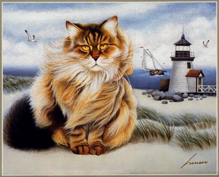 I Thought I Saw A Pussy Cat - big, lighthouse, beach, sea, cat