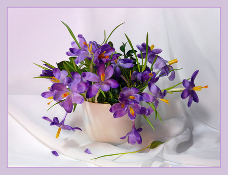 still life - vase, beautiful, photography, spring, cool, flower, gentle, bouquet, flowers, purple, crocuses